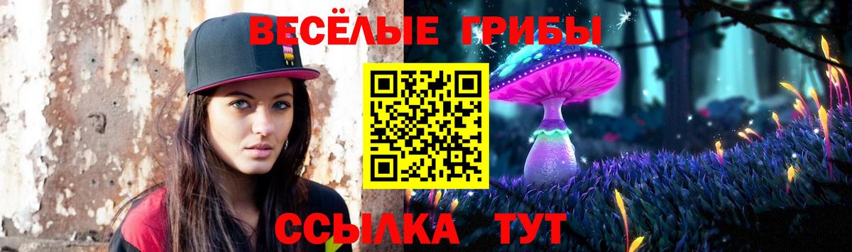 Кировск  Псилоцибиновые грибы ЛСД  где купить наркоту  Вход с VPN  Псилоцибиновые грибы ЛСД 
